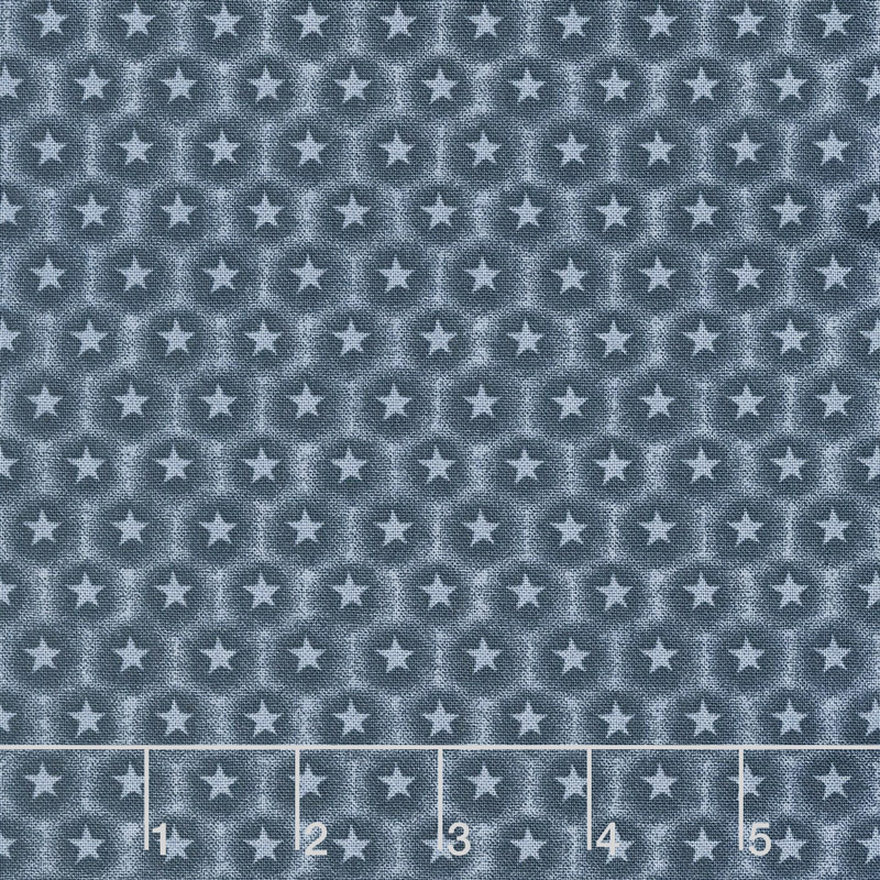 Moose Lake - Stars Blue Yardage