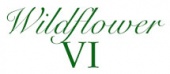 Wildflowers (Moda)